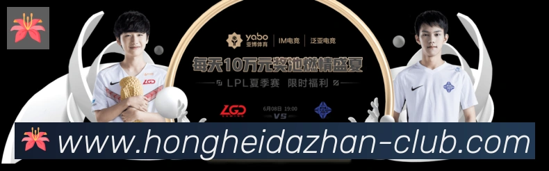 企业概况